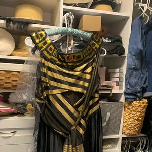 Plus-size Cleopatra costume , 1x/2x, beautifully done, wore one time.